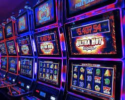 442bet